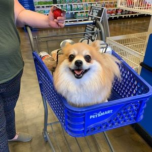 Meet your Posher, Jamie